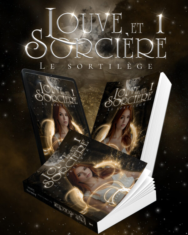 Box Louveteau Tome 1 – Image 2